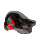 えみチャオスタンプ（個別スタンプ：16）