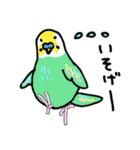 セキセイインコのお友達（個別スタンプ：13）