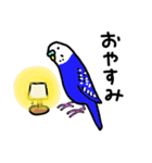 セキセイインコのお友達（個別スタンプ：22）