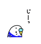 セキセイインコのお友達（個別スタンプ：34）