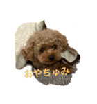 メタタンスタンプ（個別スタンプ：4）
