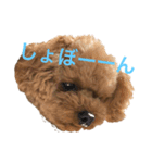 メタタンスタンプ（個別スタンプ：7）