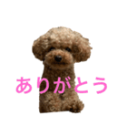 メタタンスタンプ（個別スタンプ：8）