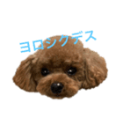 メタタンスタンプ（個別スタンプ：12）