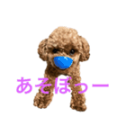 メタタンスタンプ（個別スタンプ：15）