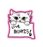 ふわねこ しゃーちゃん（個別スタンプ：5）