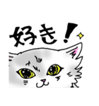 ふわねこ しゃーちゃん（個別スタンプ：24）