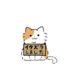 長毛茶白トビにゃんこ3（個別スタンプ：34）