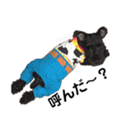 MinitureSchnauzer ロック（個別スタンプ：5）