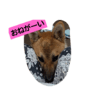 さびしがりや（個別スタンプ：2）