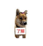 さびしがりや（個別スタンプ：4）