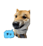 さびしがりや（個別スタンプ：5）