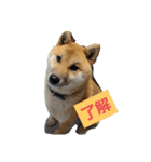 さびしがりや（個別スタンプ：6）