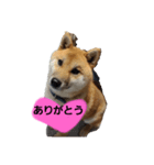 さびしがりや（個別スタンプ：7）
