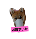 さびしがりや（個別スタンプ：8）