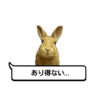 *うさぎのうさちゃん*吹き出しミックス♪（個別スタンプ：6）