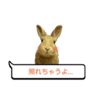 *うさぎのうさちゃん*吹き出しミックス♪（個別スタンプ：7）
