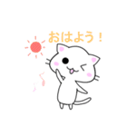 しろにゃん♪（個別スタンプ：1）