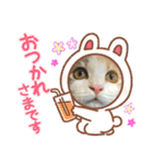 子猫のナナちゃんの良く使う可愛いスタンプ（個別スタンプ：22）