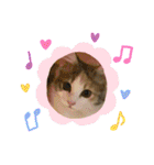 子猫のナナちゃんの良く使う可愛いスタンプ（個別スタンプ：32）