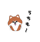 関西弁のポメ（個別スタンプ：9）