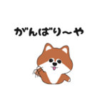 関西弁のポメ（個別スタンプ：15）