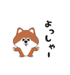関西弁のポメ（個別スタンプ：22）