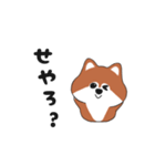 関西弁のポメ（個別スタンプ：39）
