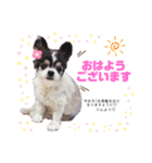 RINchan♡スタンプ（個別スタンプ：1）