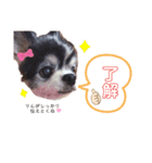 RINchan♡スタンプ（個別スタンプ：4）