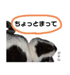 Dep 里親様スタンプ 猫ver②タメ口版（個別スタンプ：8）