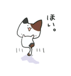 ゆるい会話で使いやすいねこスタンプ01（個別スタンプ：4）