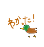 どうぶつ！動物！（個別スタンプ：4）