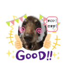 僕、ちゅりんぼ  日常バージョン（個別スタンプ：13）