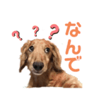 まろりーんこ 2（個別スタンプ：2）