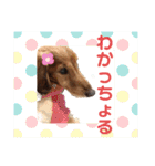 まろりーんこ 2（個別スタンプ：3）