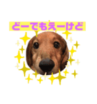 まろりーんこ 2（個別スタンプ：12）