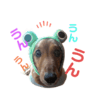 まろりーんこ 2（個別スタンプ：13）