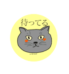 きのこのねこ（個別スタンプ：4）