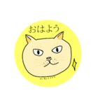 きのこのねこ（個別スタンプ：6）