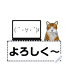 パソコンを使うハチワレ猫（個別スタンプ：1）