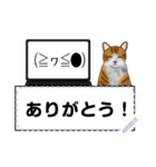 パソコンを使うハチワレ猫（個別スタンプ：2）