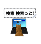 パソコンを使うハチワレ猫（個別スタンプ：9）