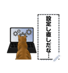 パソコンを使うハチワレ猫（個別スタンプ：10）