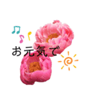月夜のGood night（個別スタンプ：16）