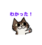 猫のぷくぽんスタンプ（個別スタンプ：1）