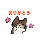 猫のぷくぽんスタンプ（個別スタンプ：4）