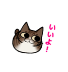 猫のぷくぽんスタンプ（個別スタンプ：17）