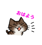 猫のぷくぽんスタンプ（個別スタンプ：25）