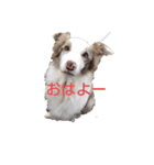 ブルーム（個別スタンプ：2）